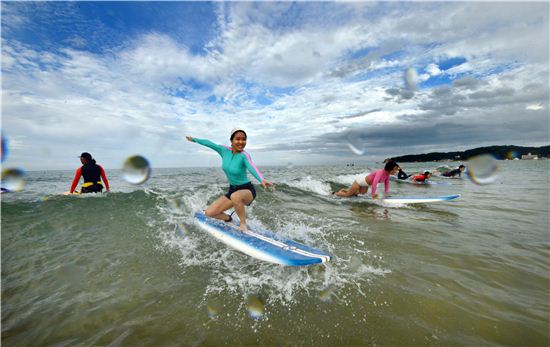 서피비치에서 서핑을 배우고 있는 체험객들이 파도를 즐기고 있다
