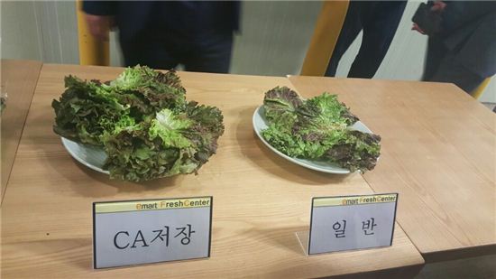 [르포]첨단저장 기법 활용 성공한 이마트 후레쉬 센터 가보니…