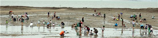 올여름 피서는 깨끗하고 시원한 함평에서