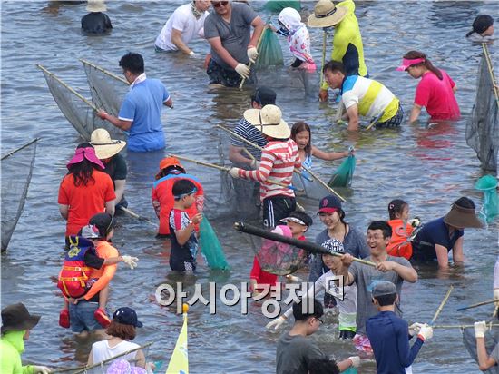 [포토]장흥 탐진강에서 민물고기잡는 피서객들