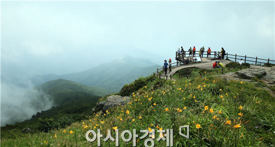 [포토]지리산 노고단 하늘정원에 야생화 만개