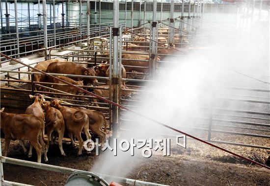 '축사 악취 없앤다'…2025년까지 '깨끗한 축산농장' 1만호로 확대