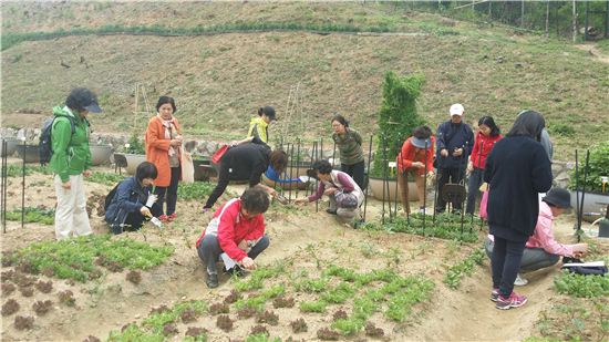 도시농사꾼 된 김부장