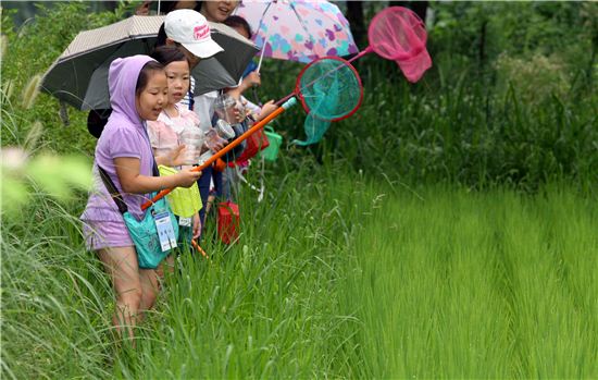 첨벙첨벙 물장구치는 양재천 생태체험교실
