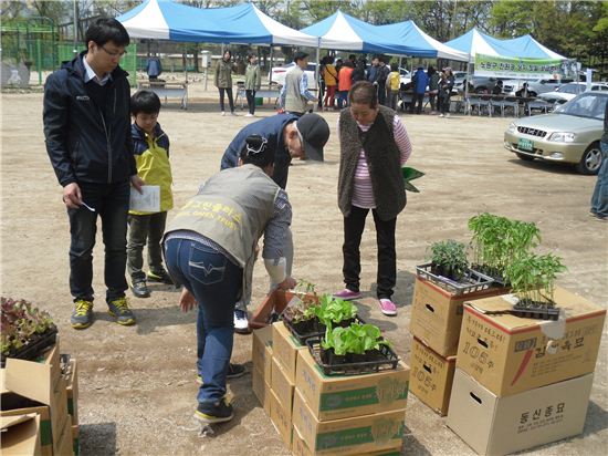 상자텃밭 분양 장면 