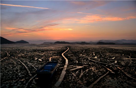 [여행만리]호젓한 편백숲…마음껏 숨고르기를 하자