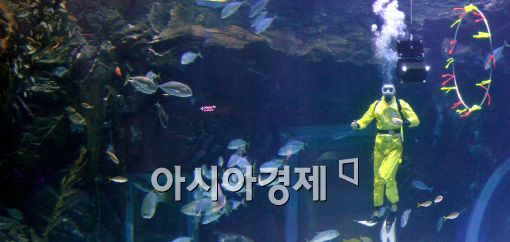 [포토]한화 아쿠아플라넷 일산, '해양의 서커스' 쇼
