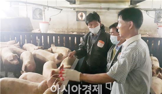 전남도,  가축 폭염피해 예방 신선한 물 공급 해야