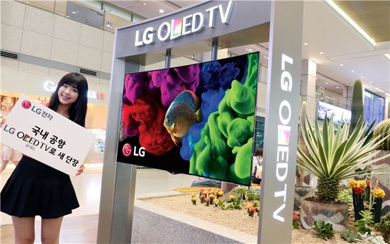 LG전자, 국내 공항 8곳에 '올레드 TV' 설치