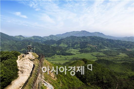 [DMZ 지뢰 폭발]국방부의 강력대응… 실현 가능성은 