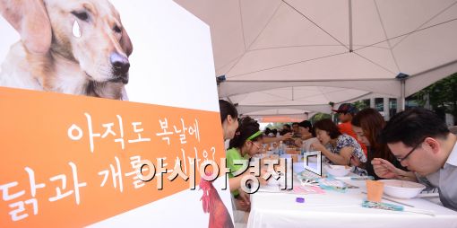 [포토]'아직도 개와 닭을 드시나요?'