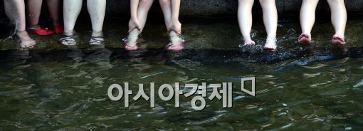 [포토] 청계천서 더위 식히는 시민들
