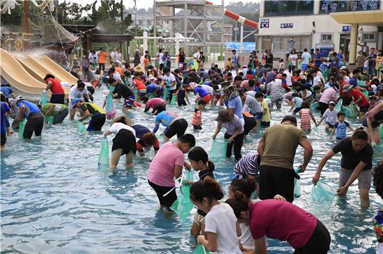<보성전어축제가 29일부터 이틀간 율포해수욕장 일원에서 열린다. 사진은 지난해 축제 때 전어잡기 모습.>