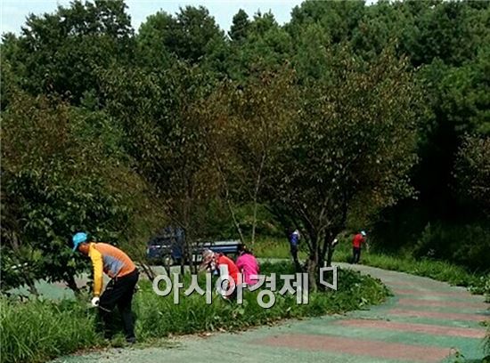 장흥군 회진면 농촌지도자회(회장 강현갑)는 지난 18일 회진면 한재공원 도로변 블루베리길 가꾸기에 나섰다. 