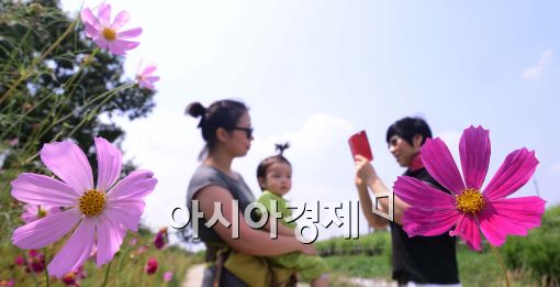 [포토]'오늘은 처서'
