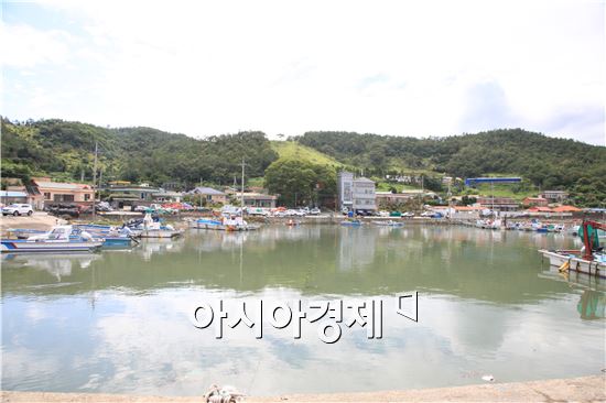 완도 망남리, 귀어 청년가구만 무려 21가구