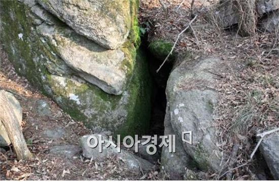 전남도 관리 산림, 국가산림문화자산으로 지정