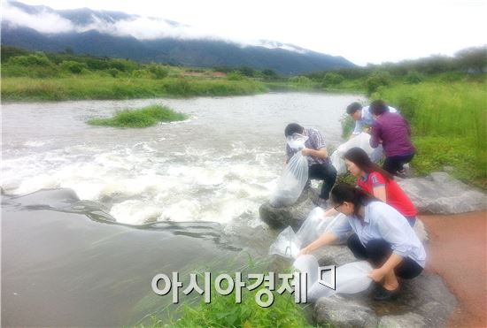 구례군은 지난 21일 섬진강 지류인 서시천과 내서천에 어린 메기 1만 마리를 방류했다.
