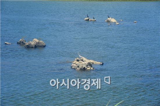 누구에게나 마음속 같은 고향, ‘곡성 섬진강’