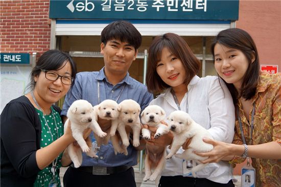 전국 최초 공무견 길음2동주민센터 기르미가 다섯둥이를 낳았다. 뉴타운 사업으로 본격적인 이주가 시작되며 다소 침체되었던 지역에 새로운 활력을 주고 있다.  
