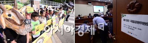 [포토]'설악산 오색케이블카 승인되나?'