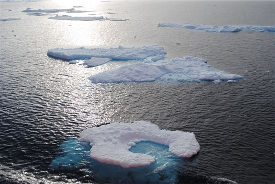 [북극을 읽다]사진으로 보는 '지구의 심장' 북극