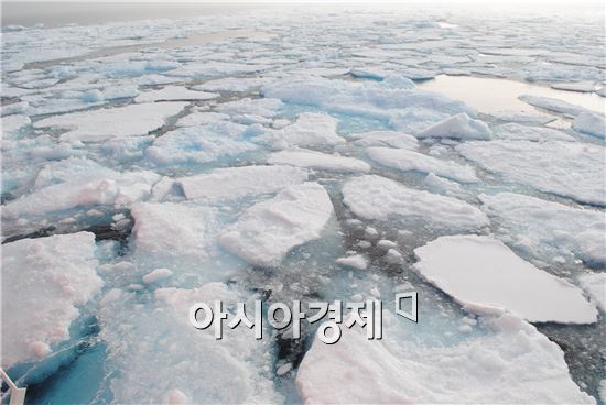 [북극을 읽다]사진으로 보는 '지구의 심장' 북극
