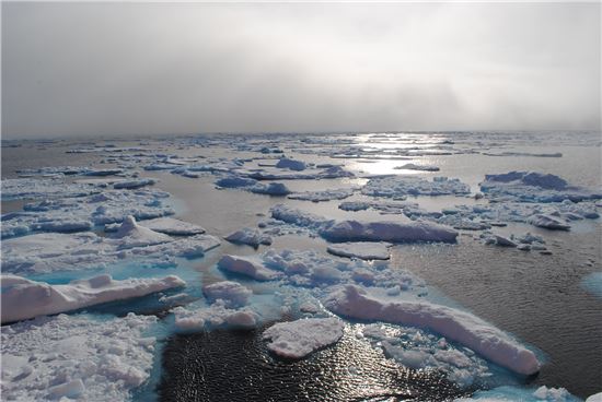 북극의 빙하가 빠른 속도로 녹아내리면서 내부에 동면 중이던 고대 바이러스들도 함께 깨어나고 있다. 2004년 이후 고대 바이러스가 출현된 사례가 4차례 이상 보고됐다.(사진=아시아경제DB)