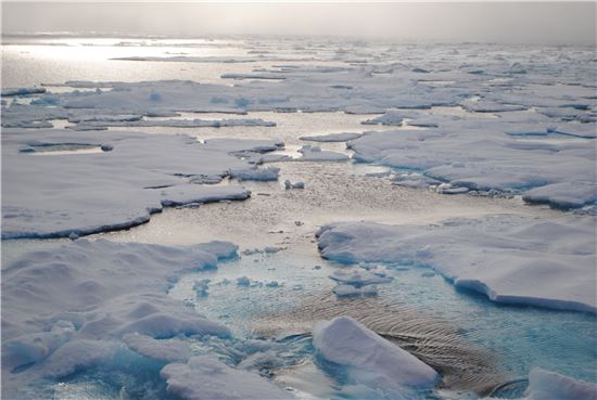 [기하영의 야간비행]'바닷물 감옥'에서 살아남는 법