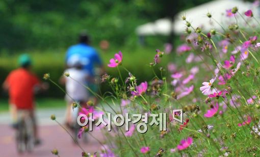 [포토]가을문턱 