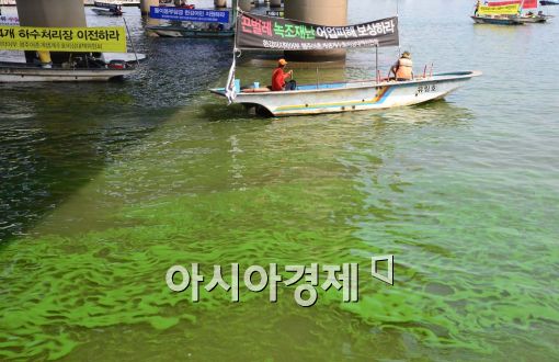 [포토]한강녹조에 뿔난 어민들 