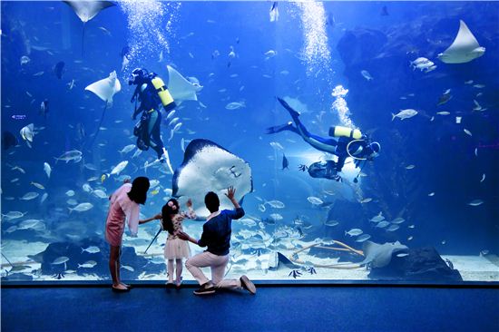 1만8천마리 해양생물들의 대이동