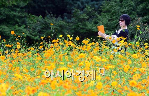 [포토]가을을 담다 