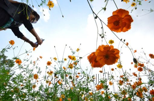 [포토]가을이구나 