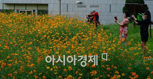 [포토]앞으로 나란히 