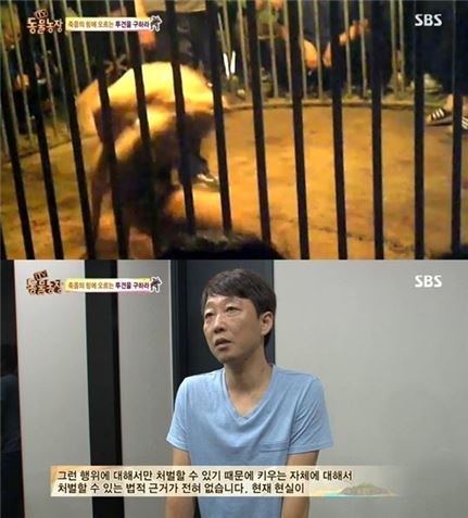 '동물농장' 투견 현장 참혹함 고발…"키우는 자체만으로는 처벌 근거 없어"