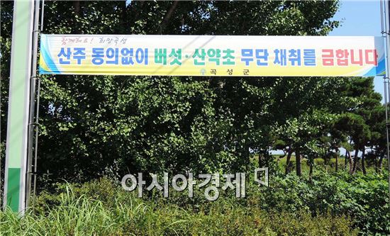 곡성군,임산물 불법 채취 주민과 함께 막는다