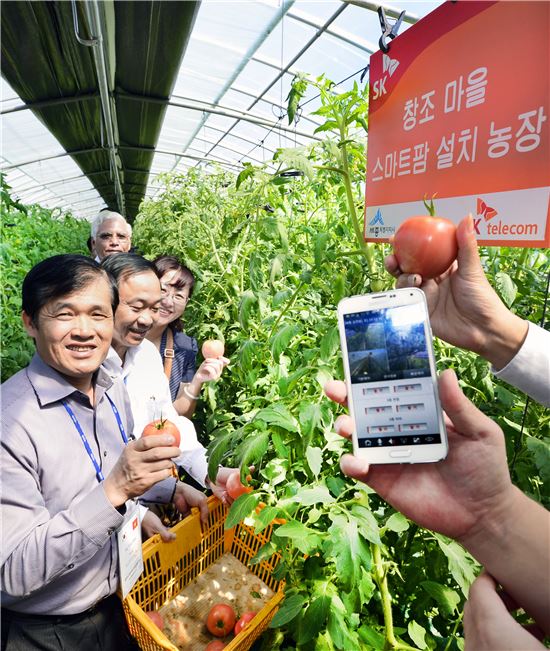 "베트남서도 '스마트 팜' 도입했으면…." SK-세종창조센터, 동남아 '농업한류' 선봉
