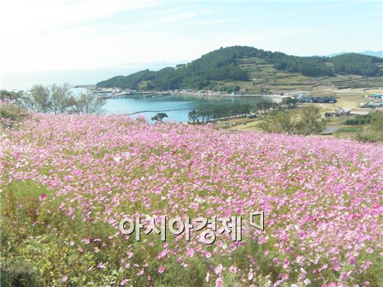 전남도, 가을 여행하기 좋은 섬 전국 최다