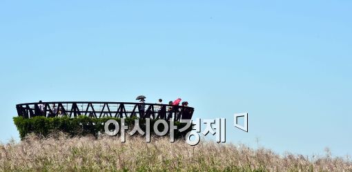 [포토]하늘공원에 퍼진 가을 정취