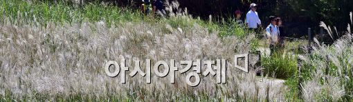 [포토]파란 하늘에서 느끼는 가을 정취