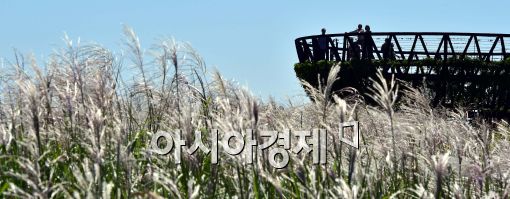[포토]'가을이 온다'