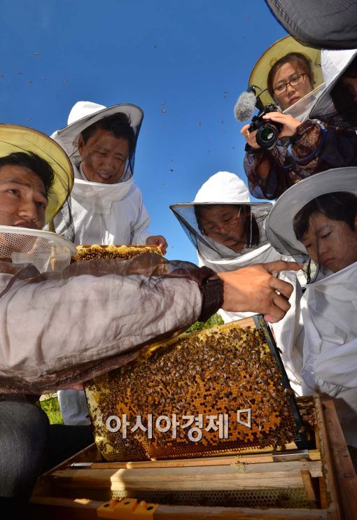 [포토]흥미진진한 도시 양봉 체험 
