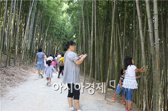 광주 광산구 드림스타트, 담양세계대나무박람회로 가족나들이 