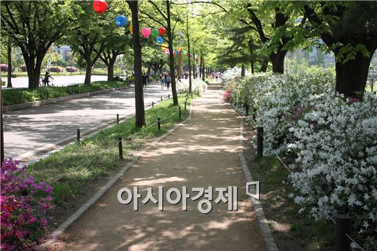 북동산~와우산까지, '보라매 둘레길' 24일 개통 