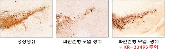 사진제공=미래부