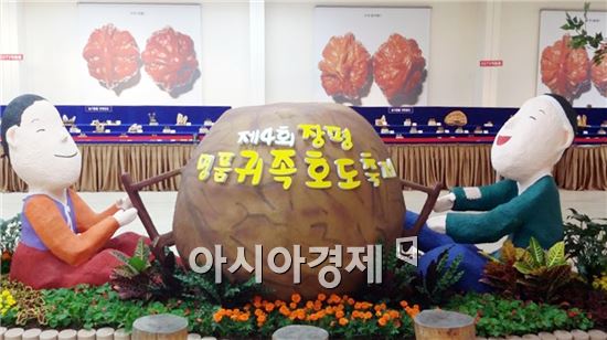 한가위 맞은 장흥군 볼거리도 ‘풍년’