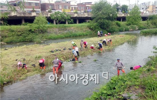 광주는 지금 ‘정원도시’로 변신 중!
