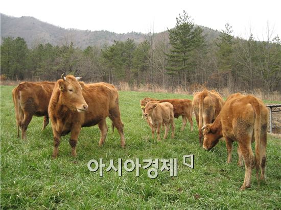 장흥군, 2016년 일반농산어촌개발사업 선정