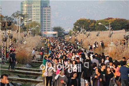 하늘공원서 '서울억새축제' 개최…10시까지 야간개방